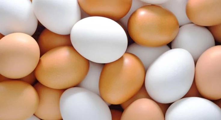 Alimentos bons para memória 5 ovos para libido