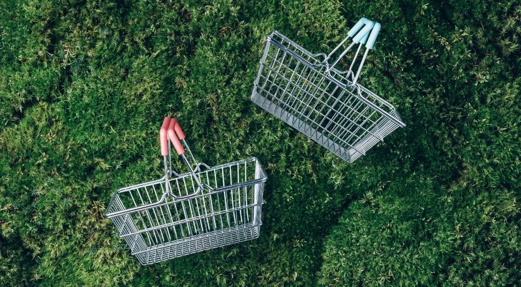 Consumo consciente: dicas para economizar e sustentar 1 Consumo consciente